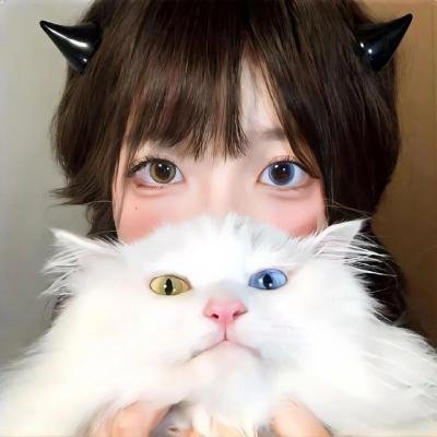 你好安妮
